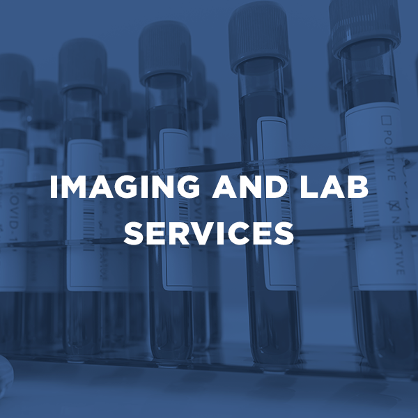 Lab services